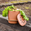 Why Composting is One of the Best Things You Can Do for the Environment