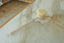 CASA AGAVE® Long Handle Dish Brush White Teak