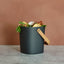 Astrik Composter: Forest