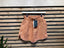 Papermoon Creamsicle Shorts (S)