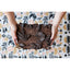 Myth Block Print Napkins, Set of 4