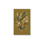 Wilderness Bouquet Classic Layflat Notebook