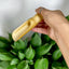 Bamboo 1 TBSP Laundry Scoop | Wide | Body Scrub Essential