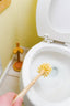 Bamboo Toilet Bowl Brush & Stand