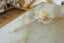 CASA AGAVE® Long Handle Dish Brush White Teak