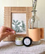 Tallow Balm – Sustainably Made and Herbal-Infused  in Midway, Utah