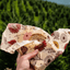 Plant-Based Sandwich Wrap - Meadow Magic